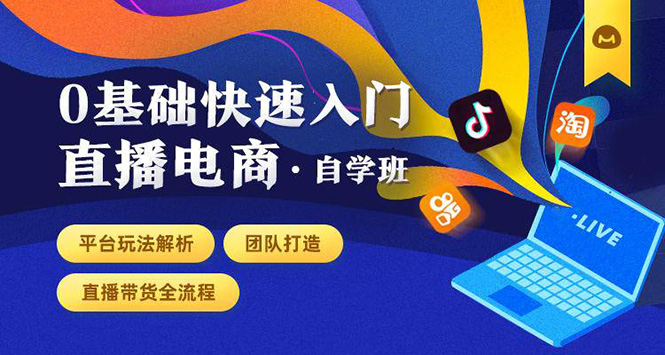 0基础快速入门直播电商课程：直播平台玩法解析-团队打造-带货全流程等环节-收集菌资源站