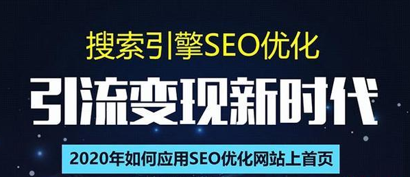 SEO搜索引擎优化总监实战VIP课堂【透析2020最新案例】快速实现年新30W-收集菌资源站