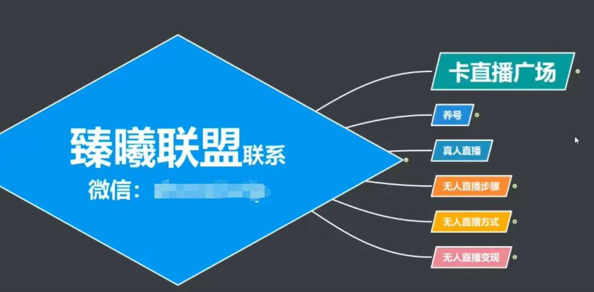臻曦联盟，最新无人直播万人在线技术理原及详细操作步骤解析（视频教程）-收集菌资源站