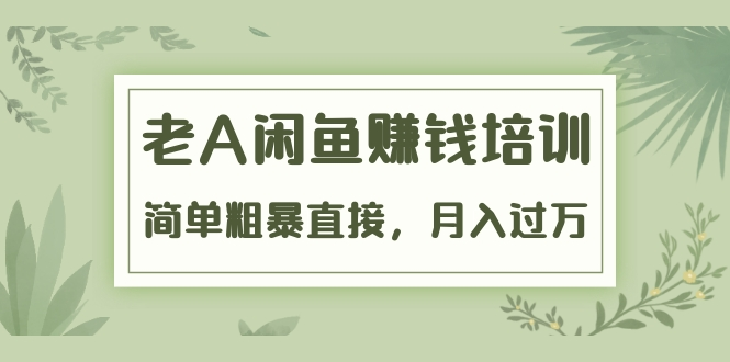 《老A闲鱼赚钱培训》简单粗暴直接，月入过万真正的闲鱼战术实课（51节课）-收集菌资源站