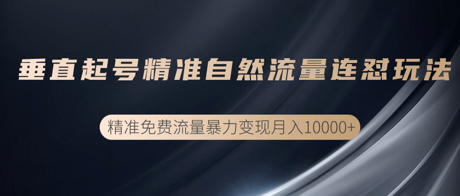 垂直起号精准自然流量连爆玩法，精准引流暴力变现月入10000+-收集菌资源站