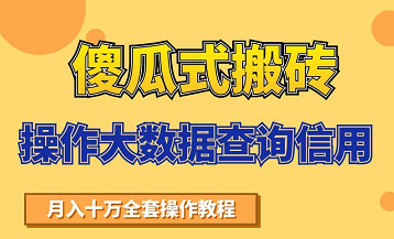搬砖操作大数据查询信用项目赚钱教程，祝你快速月入6万-收集菌资源站