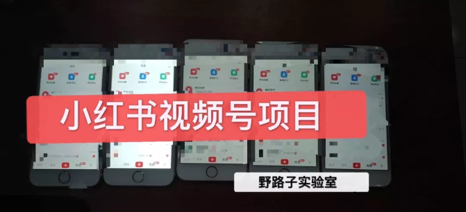 野路子小红书视频号1.0项目，直接上手操作就能赚钱的视频号项目-收集菌资源站