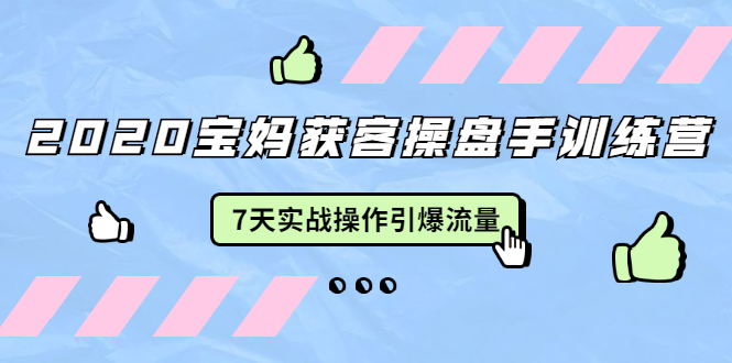 2020宝妈获客操盘手训练营：7天实战操作引爆 母婴、都市、购物宝妈流量-收集菌资源站