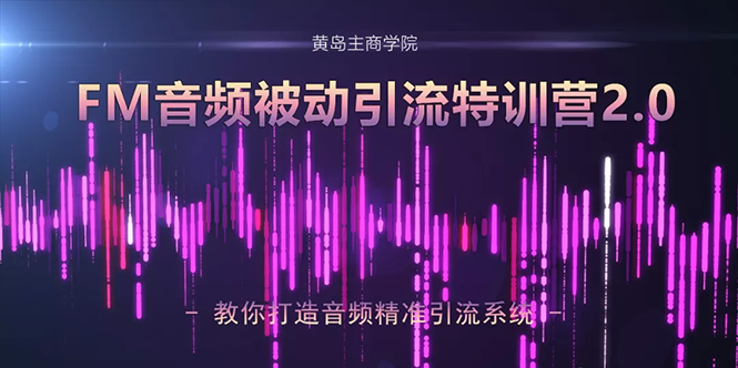 黄岛主·FM音频引流特训营2.0：独家引流模式，单账号50W+播放量，轻松变现-收集菌资源站