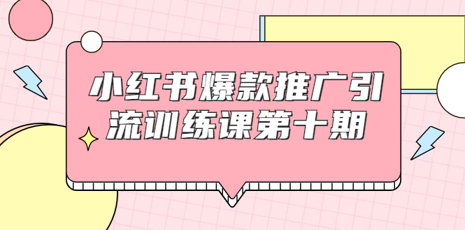 小红书爆款推广引流训练课第十期，手把手带你玩转小红书，轻松月入过万-收集菌资源站