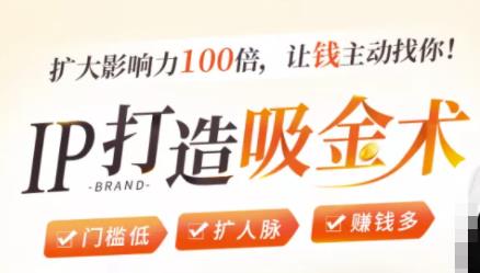 IP打造吸金术：0基础0资源，也能扩大影响力100倍，让钱主动找你！-收集菌资源站