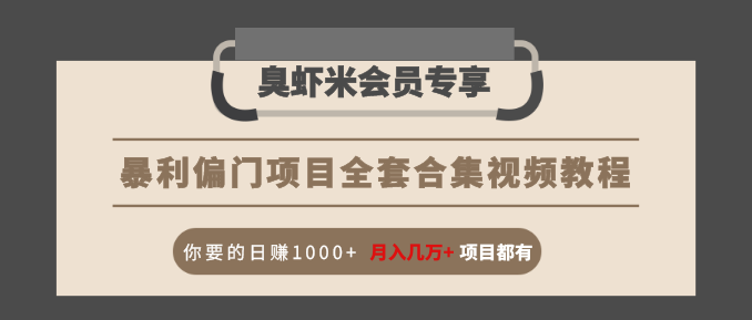 暴利偏门项目全套合集视频教程：你要的日赚1000+月入几万+项目都有-收集菌资源站