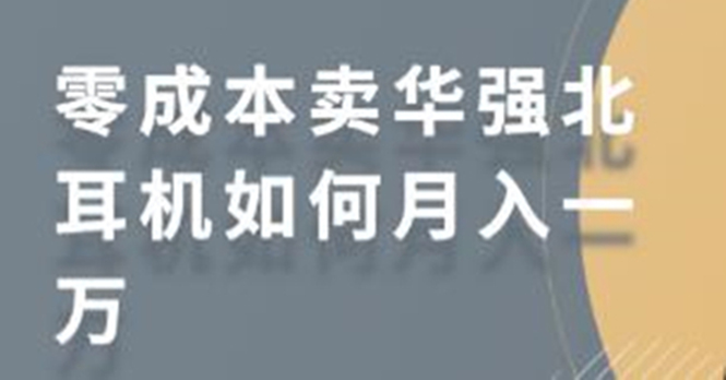 零成本卖华强北耳机如何月入10000+，教你在小红书上卖华强北耳机-收集菌资源站