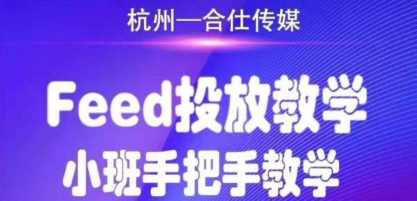合仕传媒Feed投放教学，手把手教学，开车烧钱必须自己会-收集菌资源站