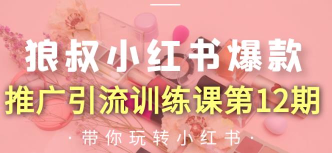 狼叔小红书爆款推广引流训练课第12期，手把手带你玩转小红书-收集菌资源站