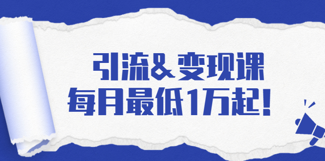 引流&变现课：分享一整套流量方法以及各个渠道收入，每月最低1万起！-收集菌资源站