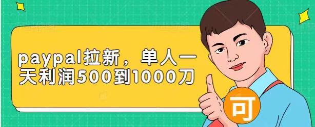 Paypal拉新赚美刀项目，单人一天利润500-1000刀【视频课程】-收集菌资源站