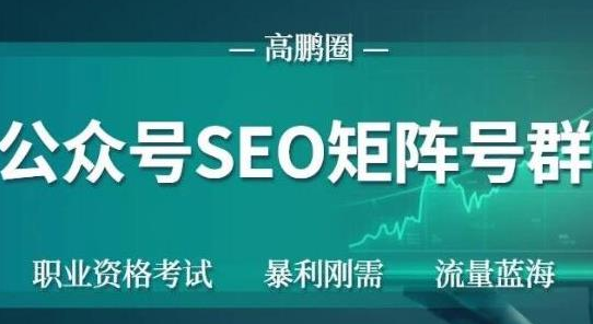 高鹏圈公众号SEO矩阵号群，实操20天纯收益25000+，普通人都能做-收集菌资源站