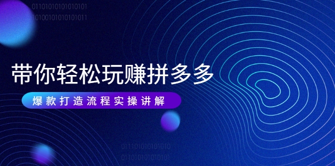 带你轻松玩赚拼多多：花的少 赚的多 爆款更简单 爆款打造流程实操讲解-收集菌资源站