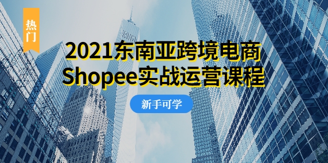 2021东南亚跨境电商Shopee实战运营课程，0基础、0经验、0投资的副业项目-收集菌资源站