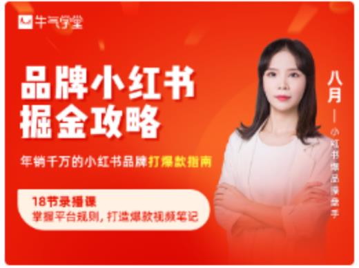 品牌小红书掘金攻略，年销千万的小红书品牌打爆款指南-收集菌资源站