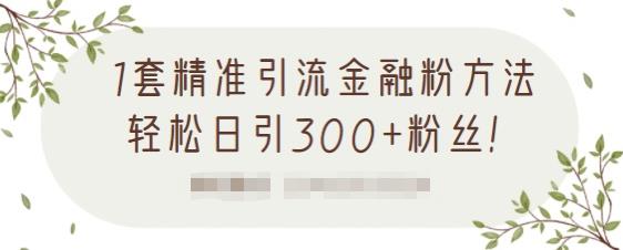 1套精准引流金融粉方法，轻松日引300+粉丝-收集菌资源站