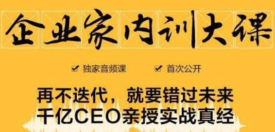 企业家内训大课，未来企业必学经验，价值1299元-收集菌资源站