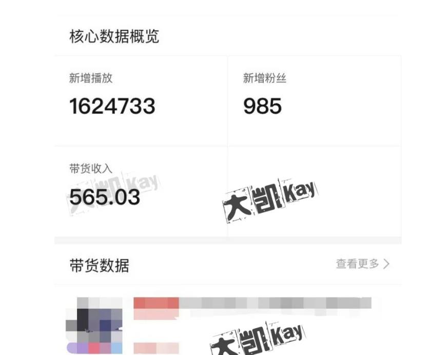 大凯进阶圈新玩法之拼多多视频玩法，利润大概一个号一天能有500~1500的左右!-收集菌资源站