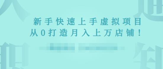 2022年虚拟项目实战指南，新手从0打造月入上万店铺-收集菌资源站