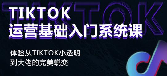 Tiktok实操进阶课程，体验从tiktok小透明到大佬的完美蜕变-收集菌资源站