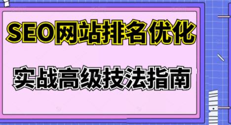 樊天华·SEO网站排名优化实战高级技法指南，让客户找到你-收集菌资源站