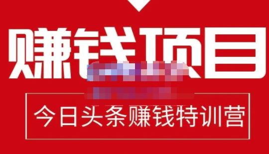 懒人领域·今日头条项目玩法，头条中视频项目，单号收益在50—500可批量-收集菌资源站