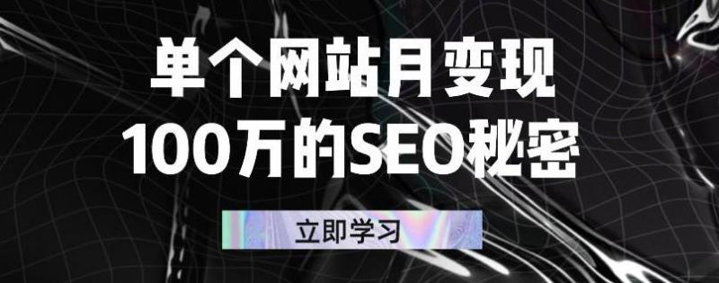 单个网站月变现100万的SEO秘密，百分百做出赚钱站点-收集菌资源站