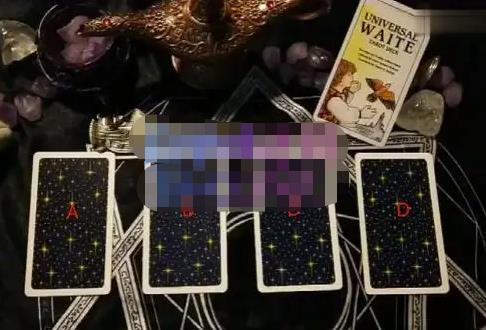 严校长·塔罗牌付费项目，0风险，一台手机，随时随地赚钱价值1000元-收集菌资源站
