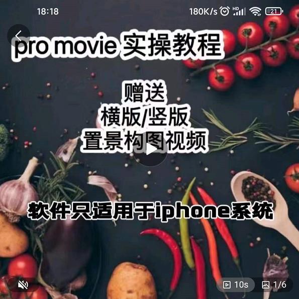 漆十二美食摄影，25​节promovie实操高手课节-收集菌资源站