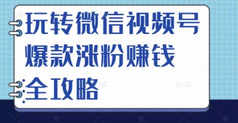 玩转微信视频号爆款涨粉赚钱全攻略，让你快速抓住流量风口，收获红利财富-收集菌资源站