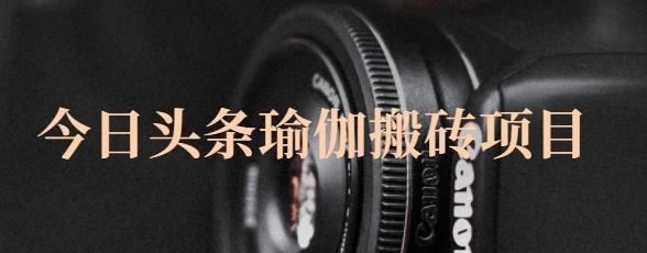 猎人社区·今日头条瑜伽搬砖项目，单号一天几十收入，可以批量操作！-收集菌资源站