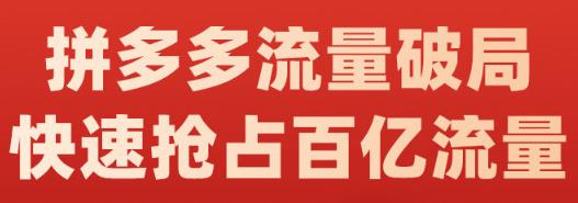阿杰·拼多多流量破局:如何打黑标，爆款的思路，拼多多流量框架，快速抢占百亿流量-收集菌资源站