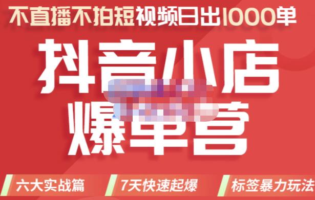 推易电商·2022年抖音小店爆单营，不直播、不拍短视频、日出1000单，暴力玩法-收集菌资源站