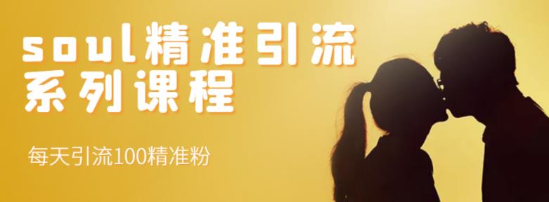 soul精准引流系列课程，每天引流100精准粉-收集菌资源站