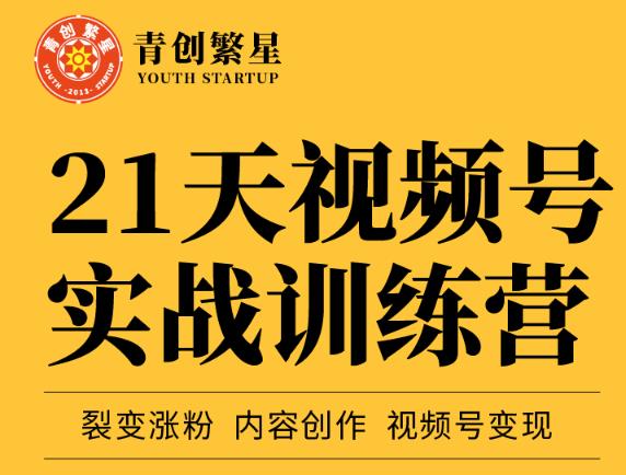 张萌21天视频号实战训练营，裂变涨粉、内容创作、视频号变现 价值298元-收集菌资源站
