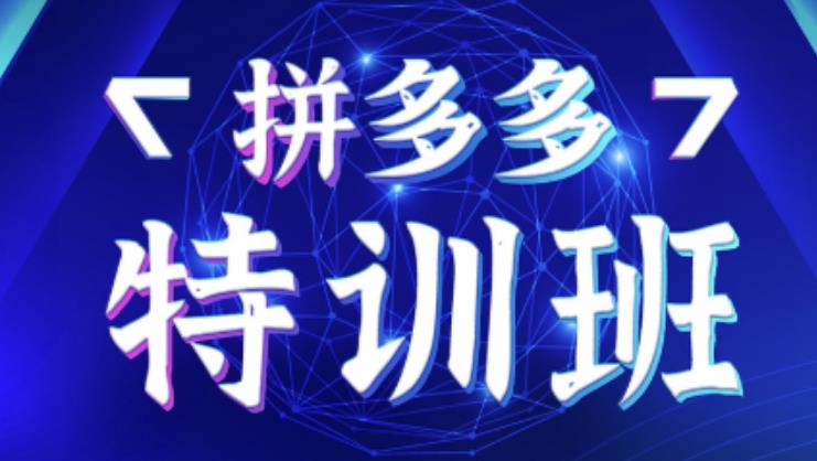 星雪教育·拼多多基础班+进阶班+突破班，用系统的学习模式快速改变现状价值3580元-收集菌资源站