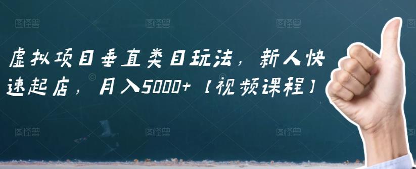 虚拟项目垂直类目玩法，新人快速起店，月入5000+【视频课程】-收集菌资源站