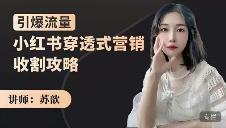 苏歆：小红书穿透式营销收割攻略，引爆流量，助你玩转小红书-收集菌资源站