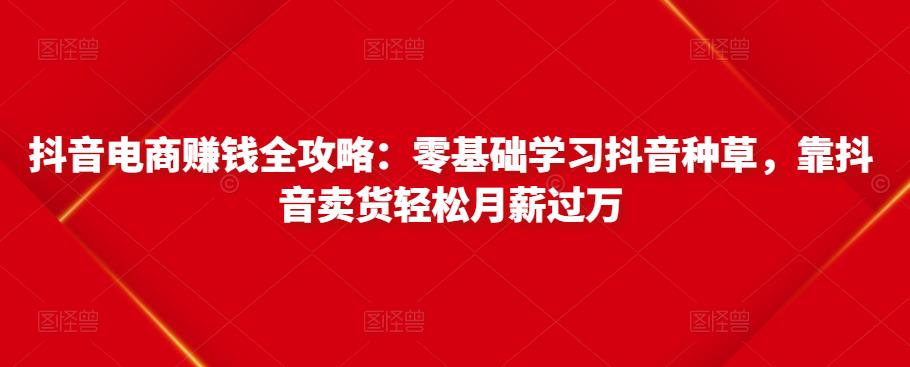 抖音电商赚钱全攻略：零基础学习抖音种草，靠抖音卖货轻松月薪过万-收集菌资源站