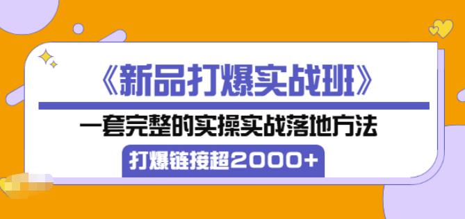 凌童《新品打爆实战班》,一套完整的实操实战落地方法，打爆链接超2000+（28节课)-收集菌资源站