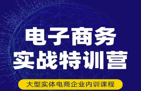 民赛电气内部出品：电子商务实战特训营，全方位带你入门电商，308种方式玩转电商-收集菌资源站