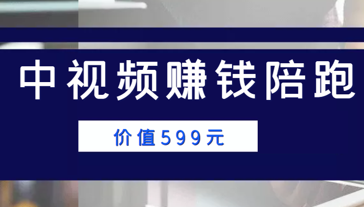 中视频赚钱陪跑，卖中视频账户赚钱收益陪跑项目（价值599元）-收集菌资源站