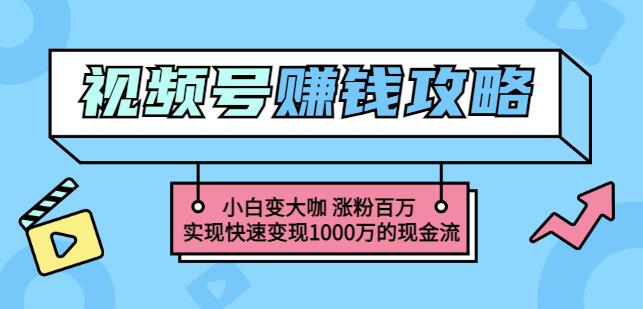 玩转微信视频号赚钱：小白变大咖涨粉百万实现快速变现1000万的现金流-收集菌资源站