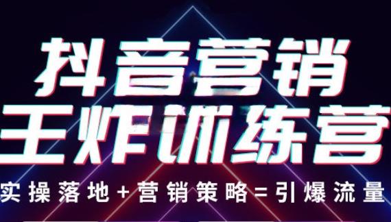 抖音营销王炸训练营，实操落地+营销策略=引爆流量（价值8960元）-收集菌资源站