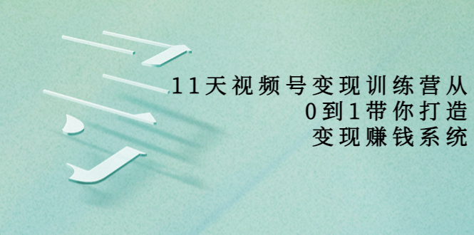 11天视频号变现训练营，从0到1打造变现赚钱系统（价值398元）-收集菌资源站