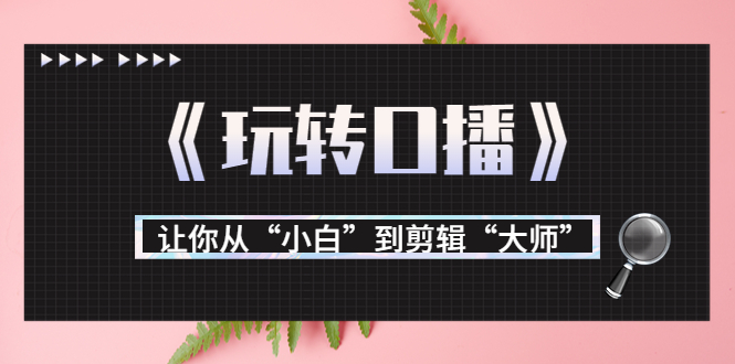 月营业额700万+大佬教您《玩转口播》让你从“小白”到剪辑“大师”-收集菌资源站