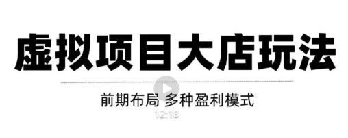 虚拟项目月入几万大店玩法分享，多店操作利润倍增（快速起店盈利）-收集菌资源站