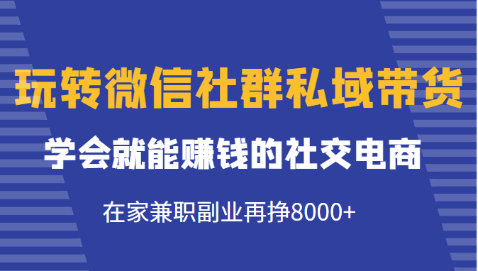 玩转微信社群私域带货，学会就能赚钱的社交电商，在家兼职副业再挣8000+-收集菌资源站